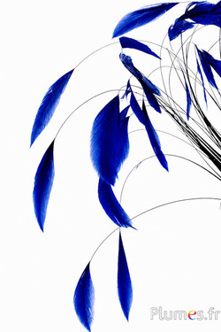 Coquetips - 13-18 cm - blauw nacht